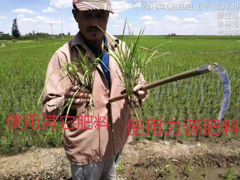 &#38886;&#24503;&#32593;&#31449;&#45;&#40;&#20013;&#22269;&#41;&#26377;&#38480;&#36131;&#20219;&#38886;&#24503;&#32593;&#31449;
